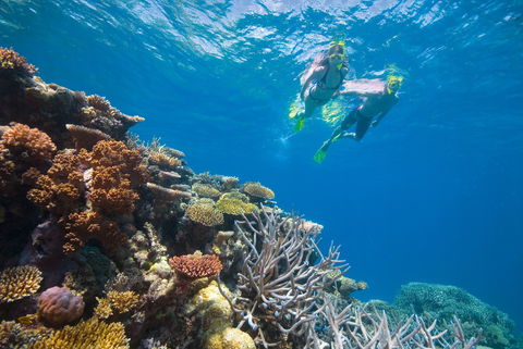NRMA Cairns Holiday Park - Accommodation Brisbane 0