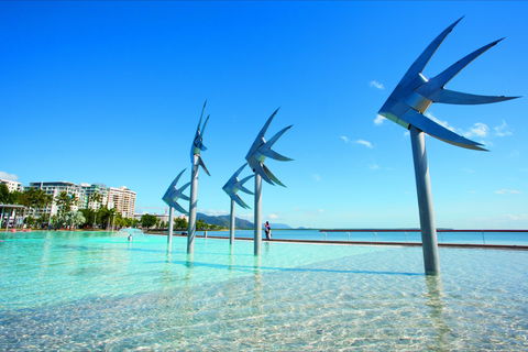 NRMA Cairns Holiday Park - Accommodation Brisbane 1