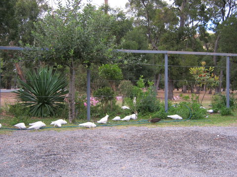 Tim's Place - Accommodation Brisbane 1