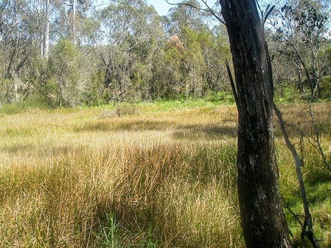 Tin Mines Campground - Accommodation Brisbane 1