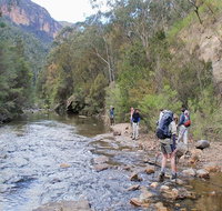 Acacia Flat campground - Accommodation Brisbane