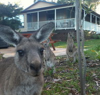 Bush and Bay Cottage - Accommodation Brisbane