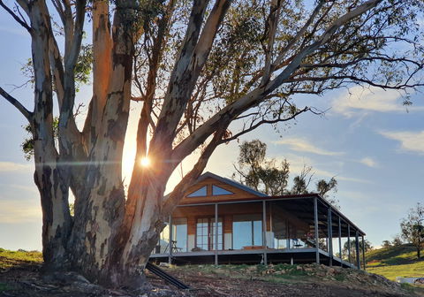 Kestrel Nest EcoHut - Accommodation Brisbane 0