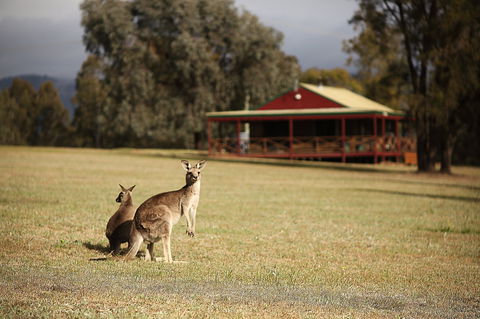 The Pokolbin Cabins - Accommodation Brisbane 0