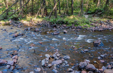 Toorooroo Campground - Accommodation Brisbane 0