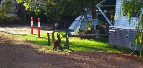 Aroundtu-It Eco Caravan Park - Accommodation Brisbane 5