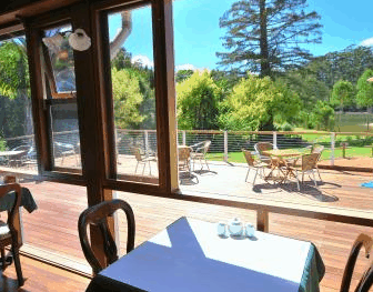 Forest Lodge Resort - Accommodation Brisbane 2