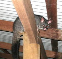 Warren River Resort - Accommodation Brisbane