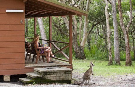 Hungry Head Cabins - Accommodation Brisbane 1