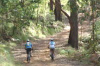 Craigmhor Mountain Retreat - Accommodation Brisbane 2