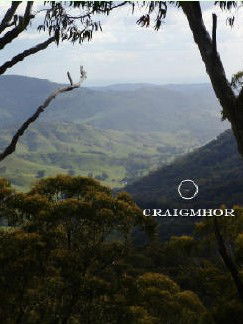 Craigmhor Mountain Retreat - Accommodation Brisbane 3