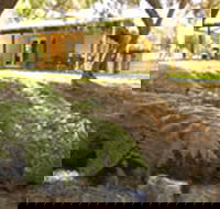 Peppermint House on 79 Tunbridge Street - Accommodation Brisbane