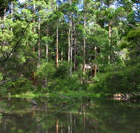 Peppermint Grove Retreat - Accommodation Brisbane