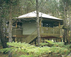 Possums Hideaway - Accommodation Brisbane 0