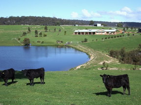 Stargazers - Accommodation Brisbane 2