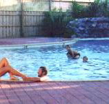 Shark Bay Caravan Park - Accommodation Brisbane