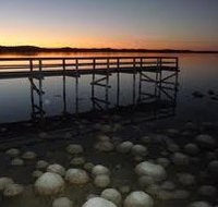 Lake Clifton Caravan Park - Accommodation Brisbane