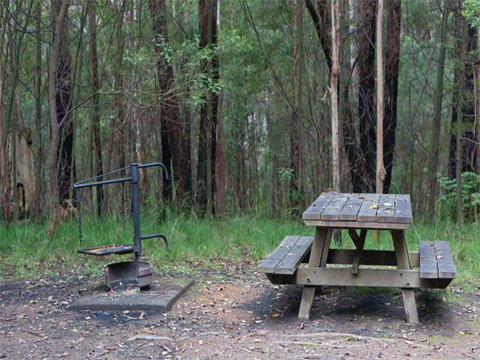 Boundary Falls Campground And Picnic Area - Accommodation Brisbane 0