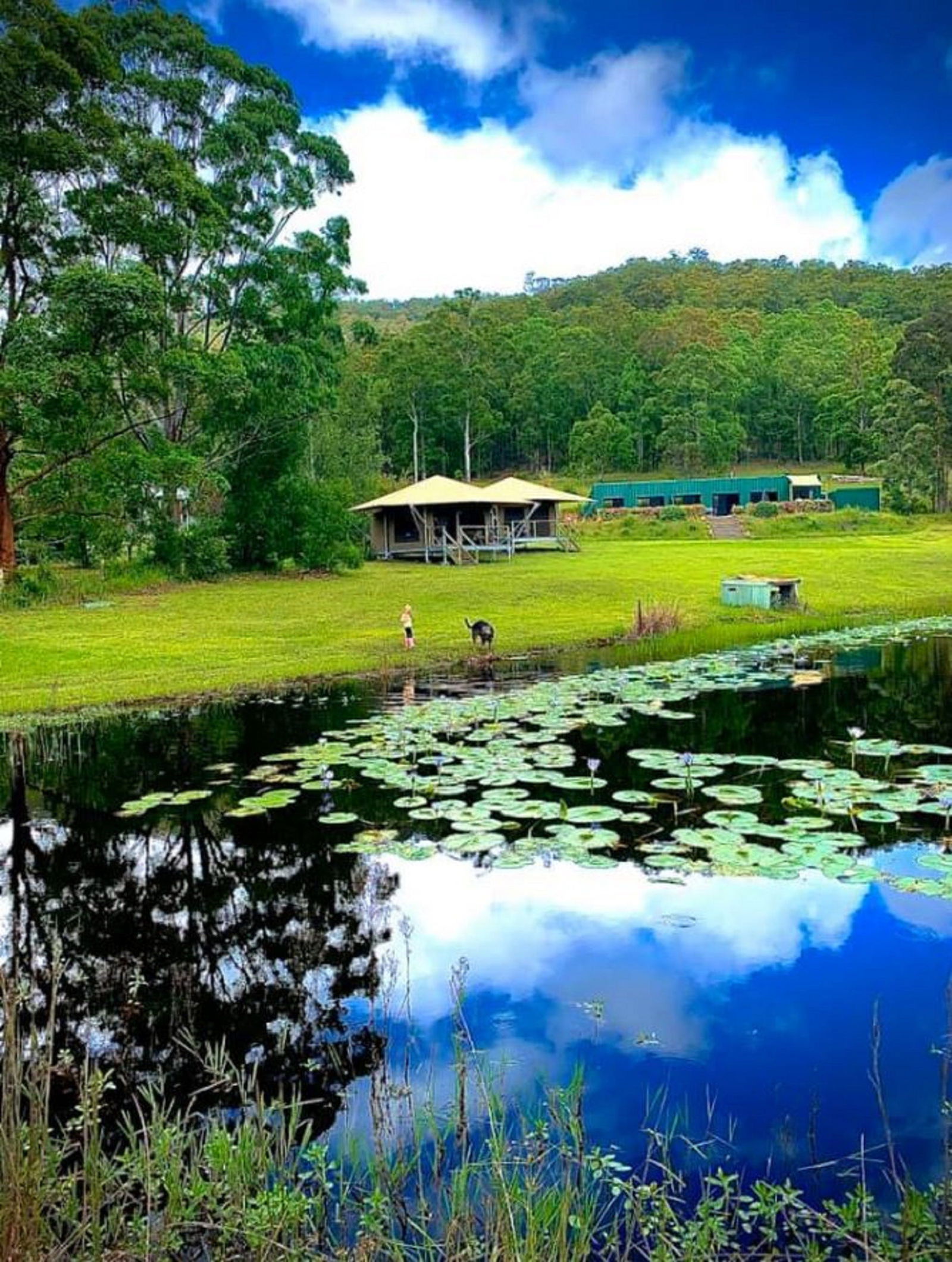Warranulla NSW Accommodation Brisbane