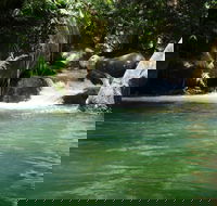 Daintree Secrets Rainforest Sanctuary - Accommodation Brisbane