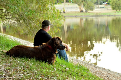 Diamond Forest Farm Stay - Accommodation Brisbane 2