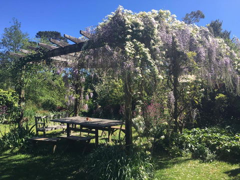 Hawthorne Cottage: Blackheath - Accommodation Brisbane 2
