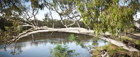 Hay Caravan Park - Accommodation Brisbane 1