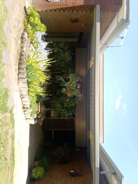 Hilltop Escape B&B - Accommodation Brisbane 0