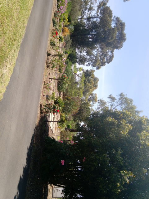 Hilltop Escape B&B - Accommodation Brisbane 1