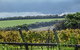 Suma Park Estate - thumb 1
