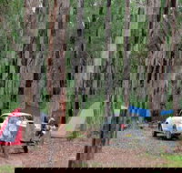 Wallingat River campground - Accommodation Brisbane
