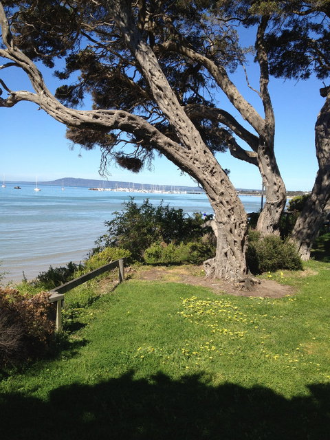 WhiteCliffs To Camerons Bight Foreshore Reserve - Accommodation Brisbane 2