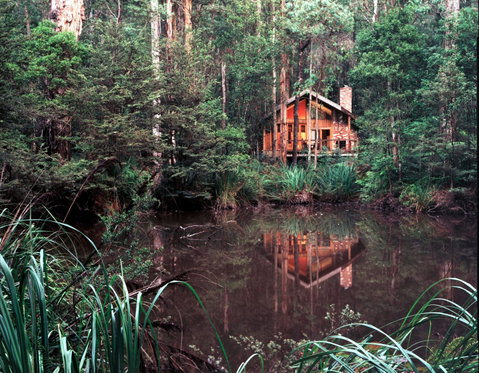 Woodlands Rainforest Retreat - Accommodation Brisbane 0