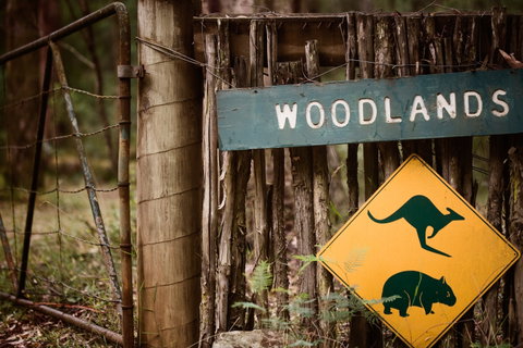 Woodlands Rainforest Retreat - Accommodation Brisbane 1