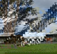 Woodenbong B and B - Accommodation Brisbane