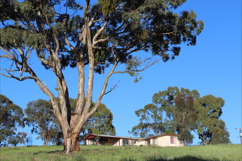 Clare View Accommodation - Clare View Cottage - Accommodation Brisbane 2