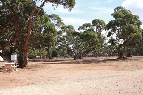 Cleve Showgrounds RV Park - Accommodation Brisbane 1