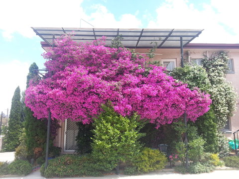 Crest Motor Inn - Accommodation Brisbane 0