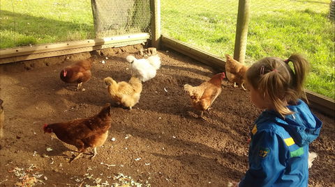 Emerald Park Holiday Farm - Accommodation Brisbane 2