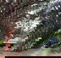 Fernleigh Accommodation - Accommodation Brisbane