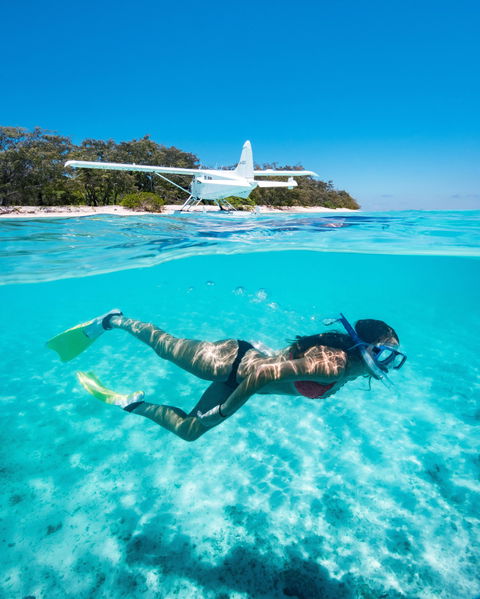 Heron Island Resort - Accommodation Brisbane 1