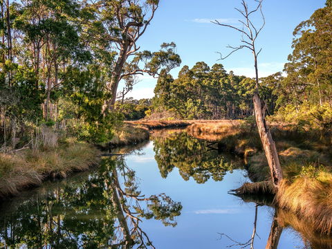 Saintys Creek Cottage - Accommodation Brisbane 1