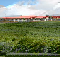 Turners Vineyard Motel - Accommodation Brisbane