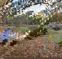 Woolpress Bend campground - Accommodation Brisbane