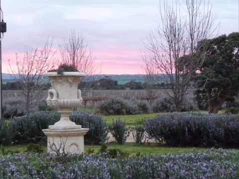Angas Plains Wines Suites - Accommodation Brisbane 2