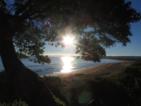 Apex Beachside Holiday Park - Accommodation Brisbane 1