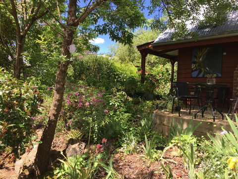 Artscape Cottage Beechworth - Accommodation Brisbane 2
