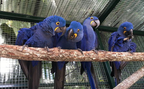 Ashmore Palms Holiday Village - Accommodation Brisbane 2