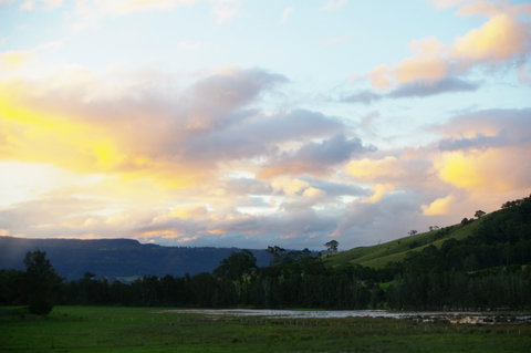 Back Forest Retreat - Accommodation Brisbane 0