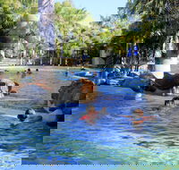 Big4 Aussie Outback Oasis Holiday Park - Accommodation Brisbane